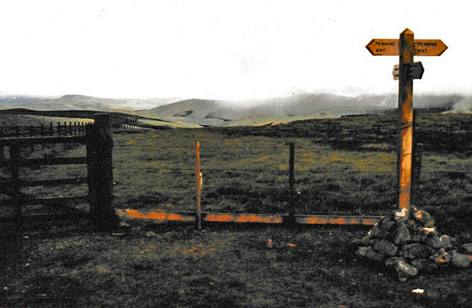Border gate